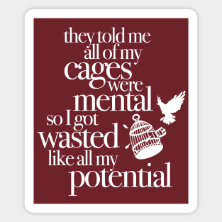 They Told Me All Of My Cages Were Mental So I Got Wasted Like All My Potential Magnet